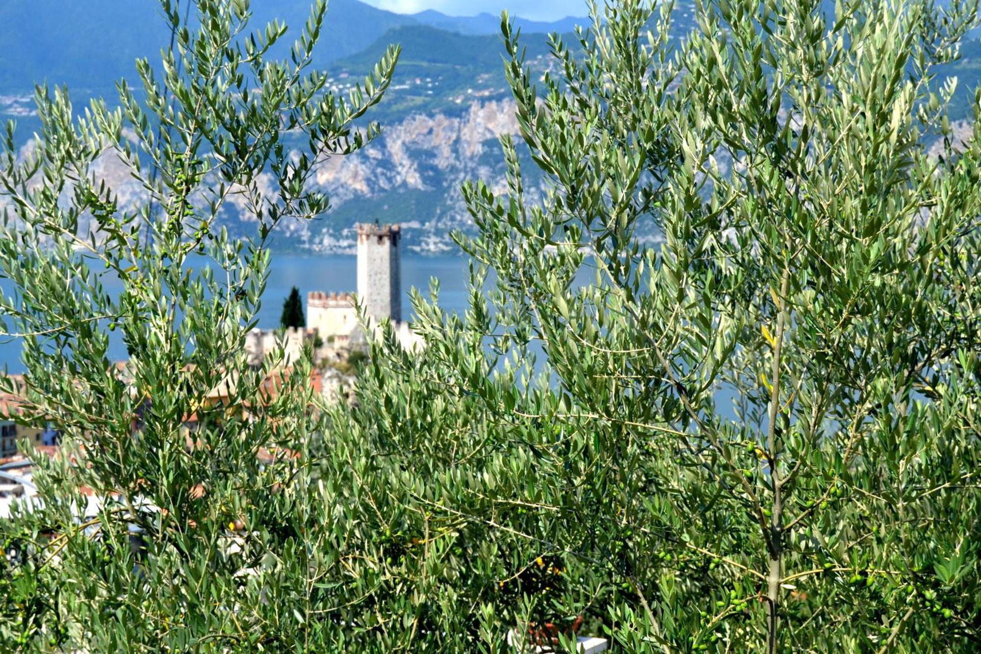 Appartamenti La Perla Malcesine Bagian luar foto